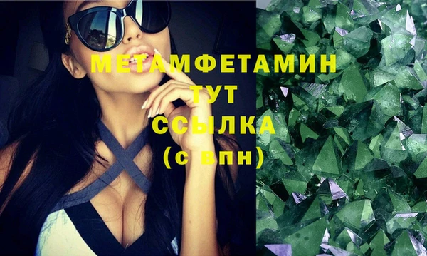 трава Аркадак