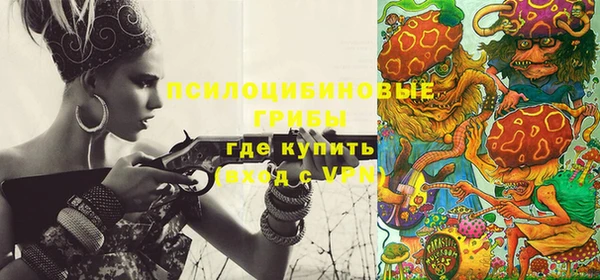 тгк Арсеньев