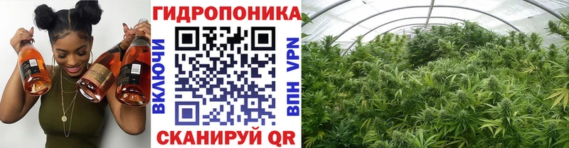 наркота  Суоярви  Канабис сатива 